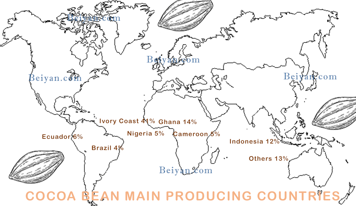 Cocoa producers